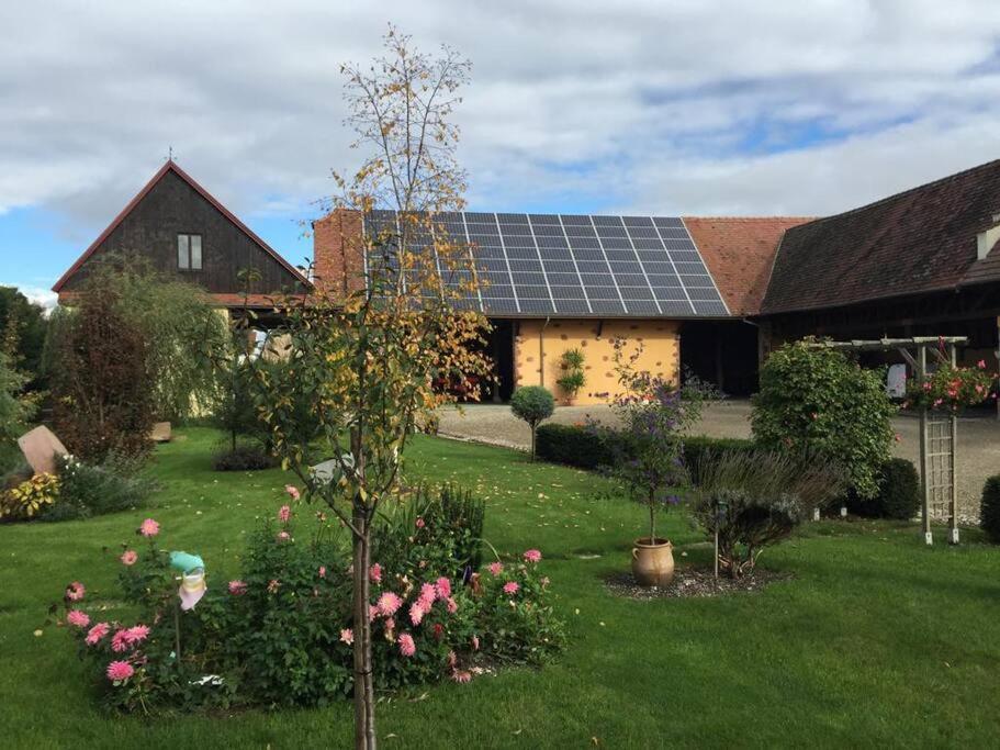 Gite La Maison De Jules Muntzenheim Extérieur photo