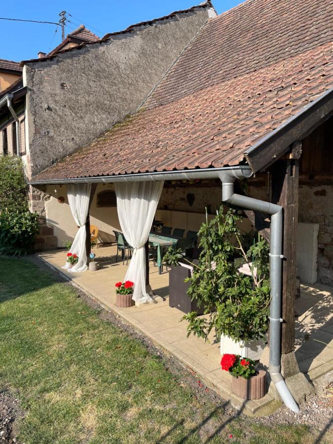 Gite La Maison De Jules Muntzenheim Extérieur photo